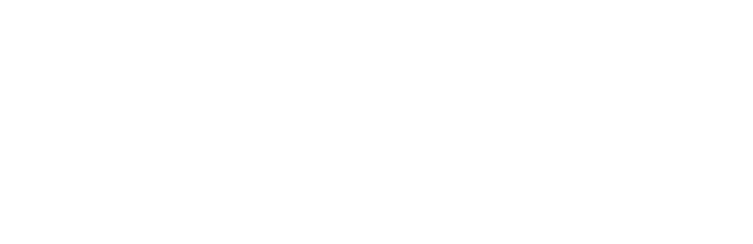 Piri Reis University