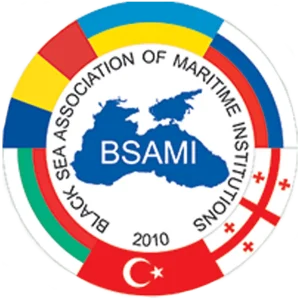 BSAMI
