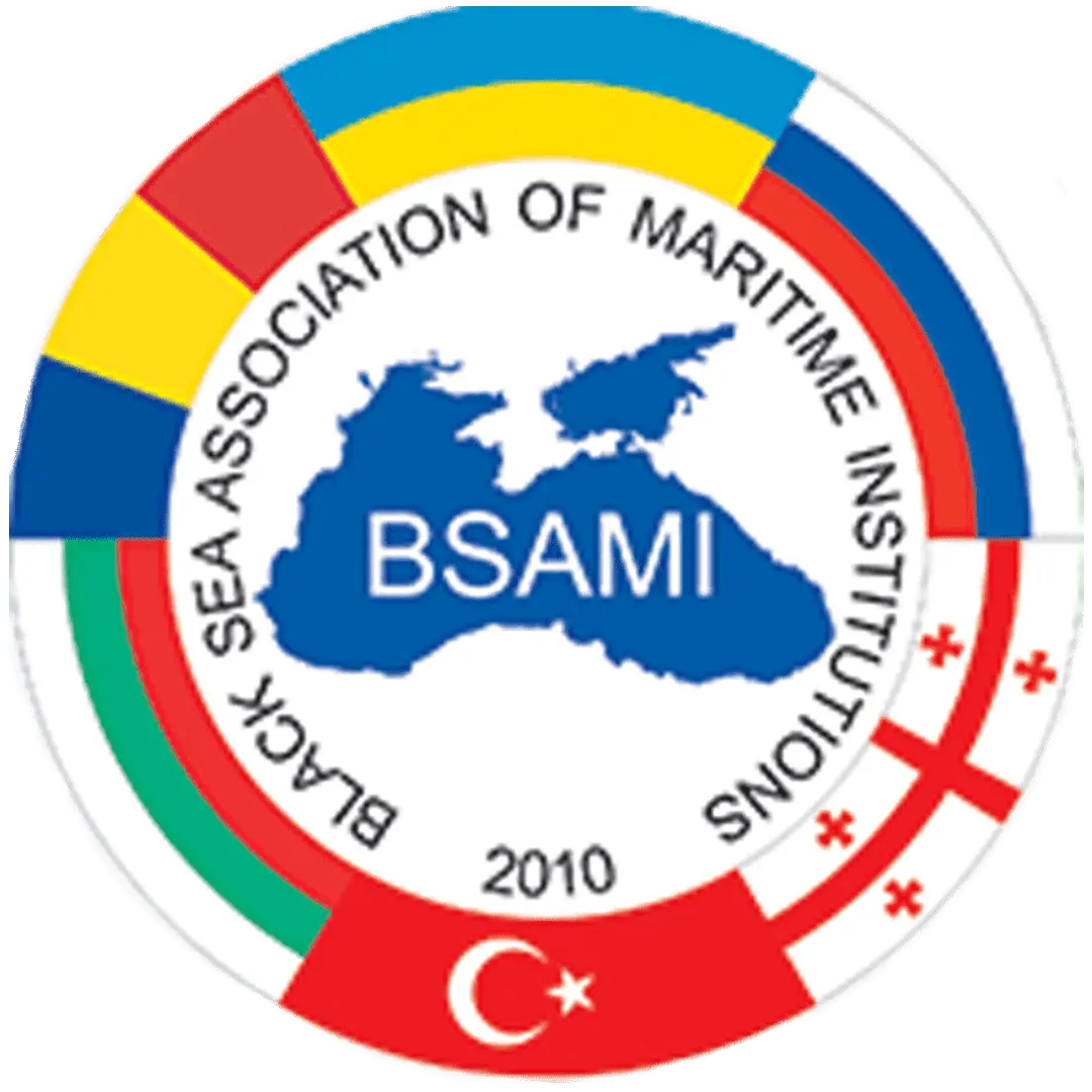 BSAMI