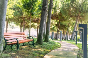 İstatistikler Arkaplan