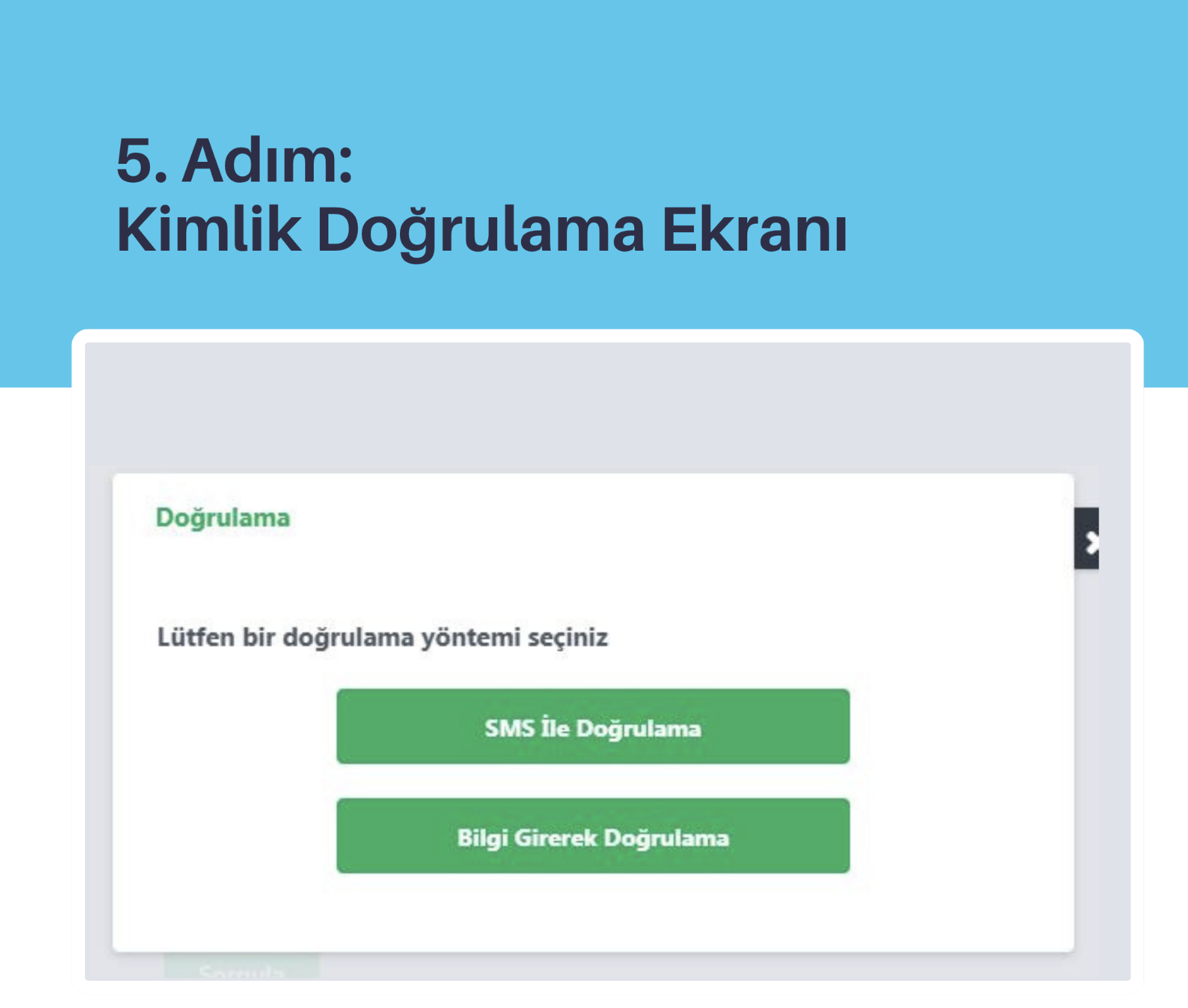 5. Adım