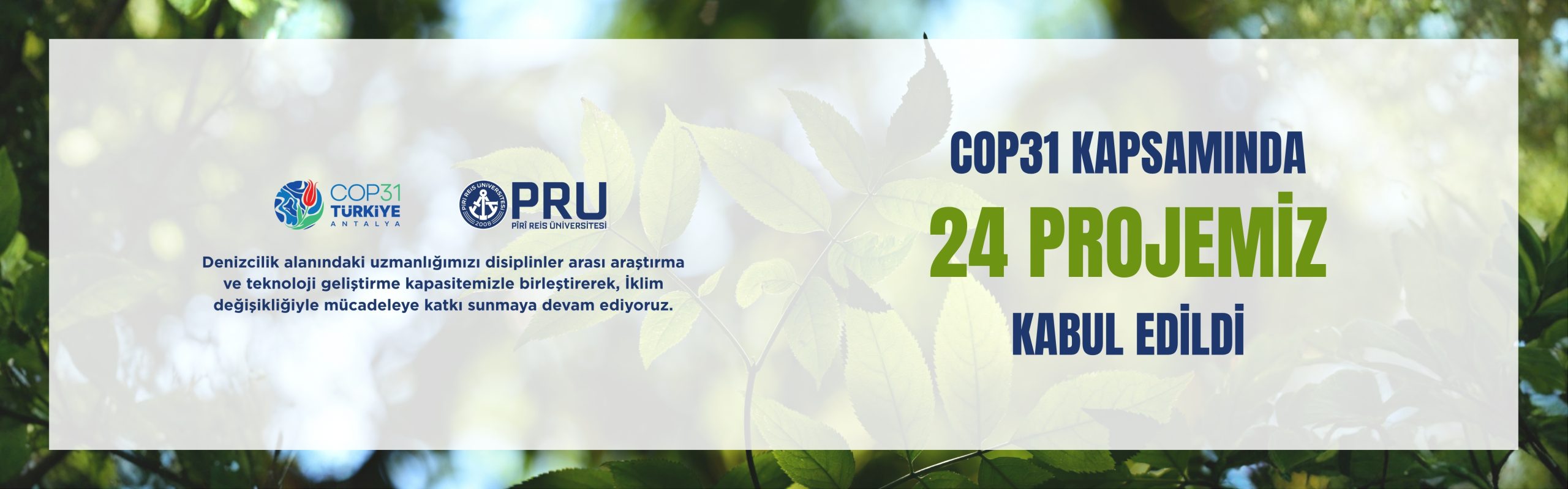 Piri Reis Üniversitesi